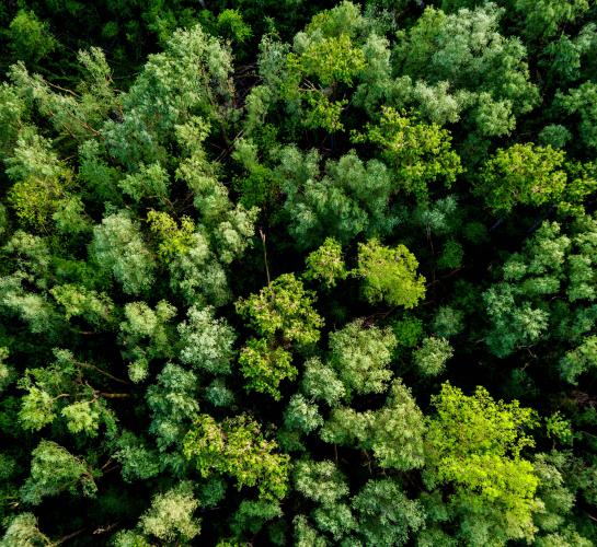 Naturschutz & Klimaschutz